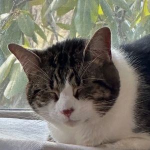 Meet your Posher, Chloe